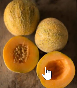 Minnesota Midget Melon