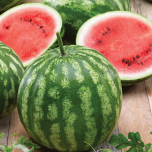 Cal Sweet Bush Watermelon