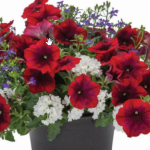 That's The Spirit Mix Combo Pot