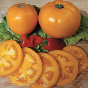 Amish Gold Heirloom Tomato