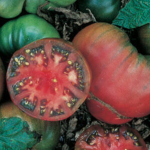 Black Krim Heirloom Tomato