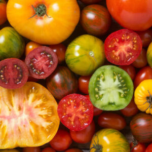 Heirloom and Specialty Tomatoes