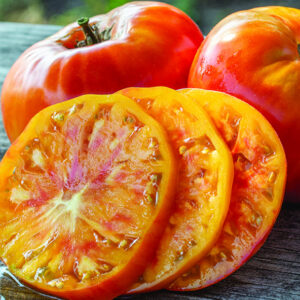 Pineapple Heirloom Tomato