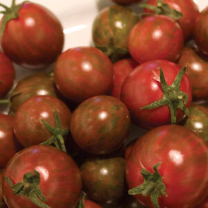 Zebra Cherry Specialty Tomato